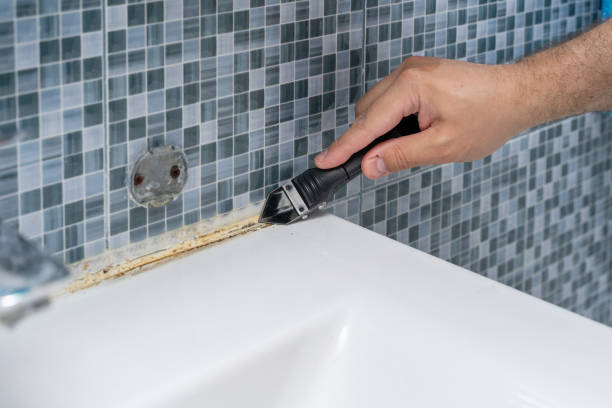 Best Mold Remediation for Specific Building Types in Reno, TX