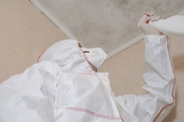 Best Bathroom Mold Remediation in Reno, TX